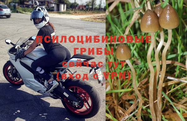 спайс Кинешма
