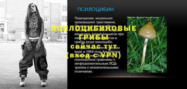 спайс Кинешма
