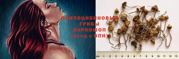 ПСИЛОЦИБИНОВЫЕ ГРИБЫ Киренск
