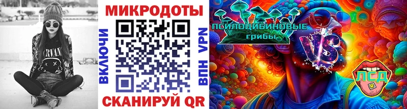 Купить где  Нея  Псилоцибиновые грибы MAGIC MUSHROOMS 